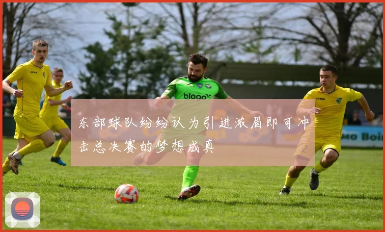 东部球队纷纷认为引进浓眉即可冲击总决赛的梦想成真